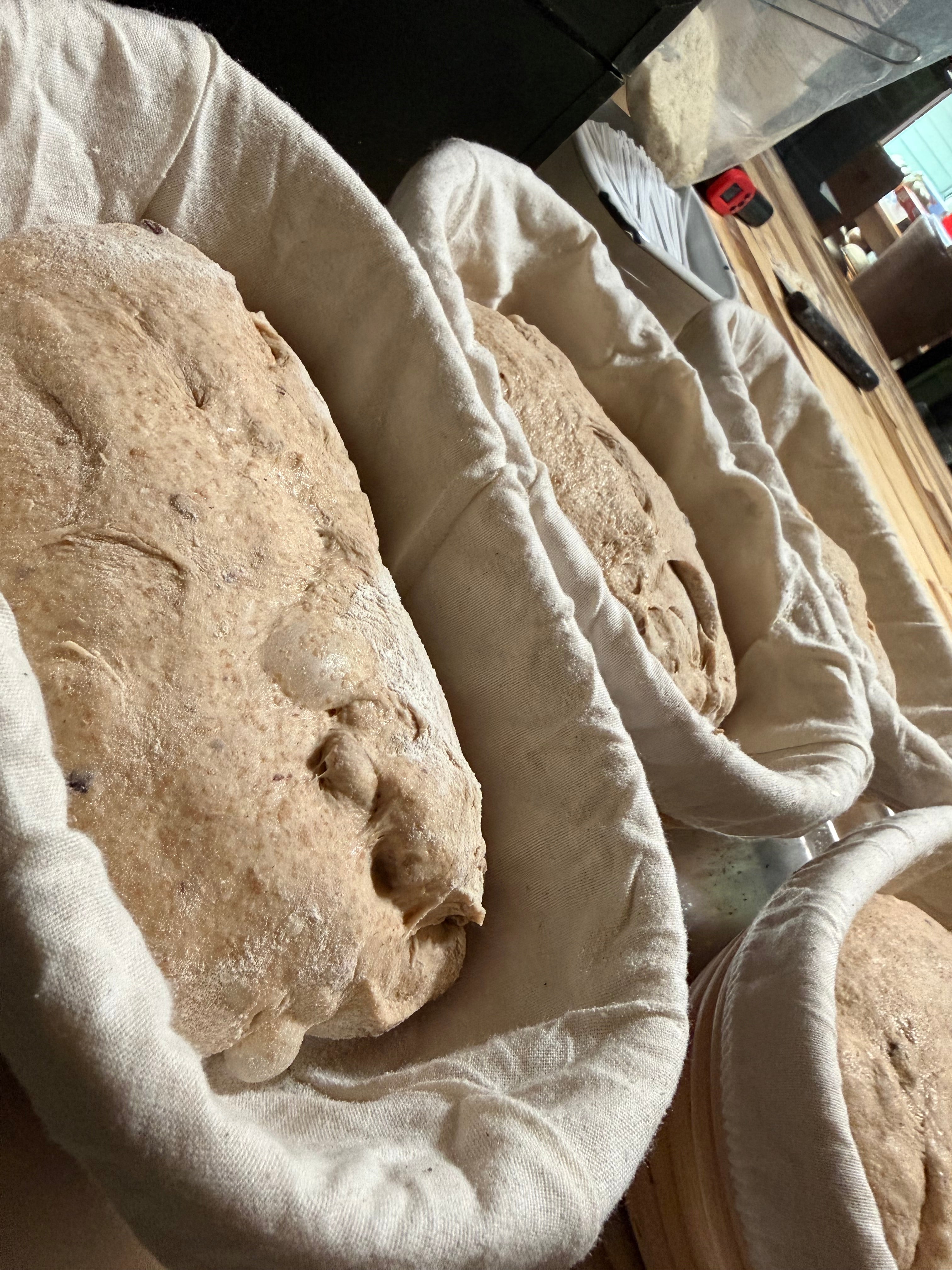 Organic 85Type Old World Sourdough